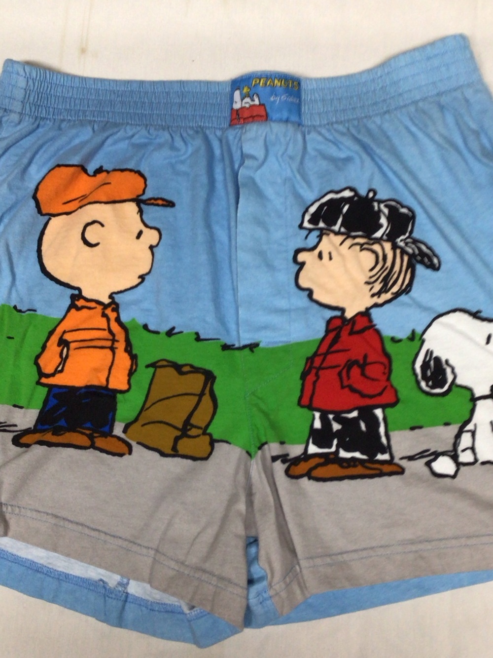 Peanuts Kids Blue, Green & Gray Cartoon Shorts
